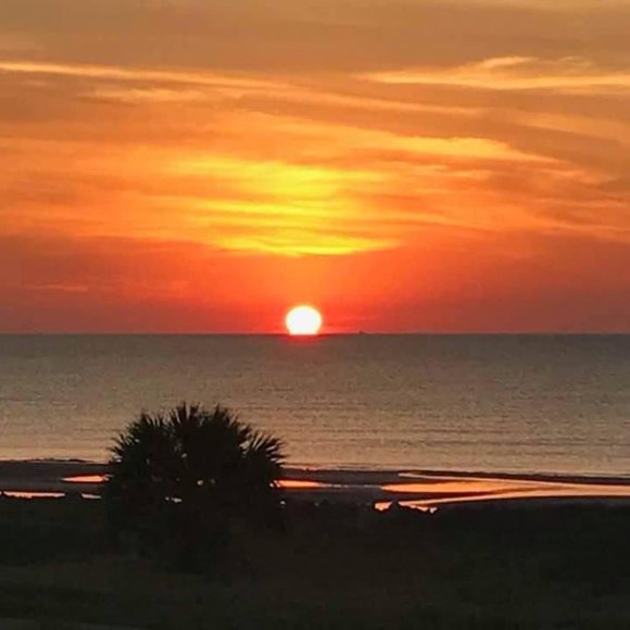 Meet your Posher, Melody - Picture 1 of 1